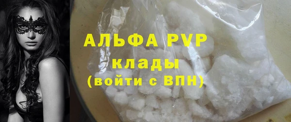 PSILOCYBIN Бородино