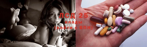 PSILOCYBIN Бородино