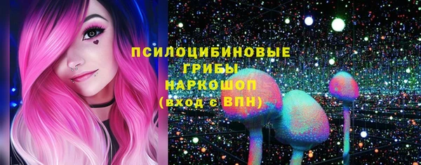 PSILOCYBIN Бородино