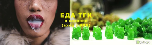 PSILOCYBIN Бородино