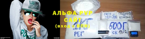 PSILOCYBIN Бородино