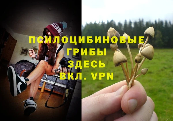 гашик Бугульма