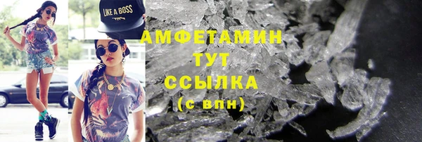 PSILOCYBIN Бородино