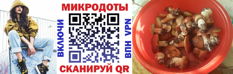 Купить закладки Сибай Галлюциногенные грибы ЛСД